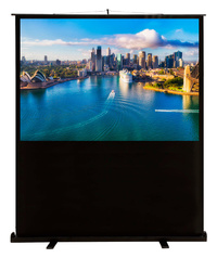 Экран для проектора Cactus 120x160см ...