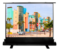 Экран для проектора Cactus 120x160см ...