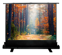 Экран для проектора Cactus 135x180см ...