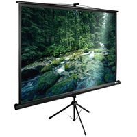 Экран для проектора Cactus 165x220см ...