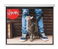 Экран для проектора настенно-потолочн...