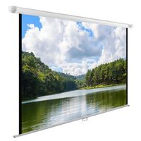 Экран для проектора Cactus 150x240см ...