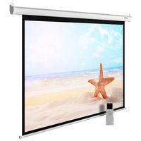 Экран для проектора Cactus 138x220см ...