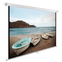 Экран для проектора Cactus 138x220см ...