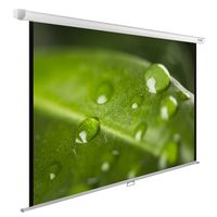 Экран для проектора Cactus 150x200см ...
