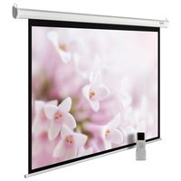 Экран для проектора Cactus 240x240см ...