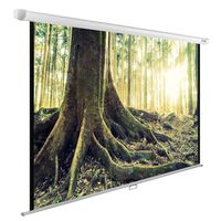 Экран для проектора Cactus 220x220см ...