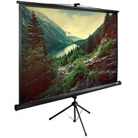 Экран для проектора Cactus 220x220см ...