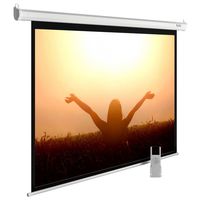 Экран для проектора Cactus 220x165см ...