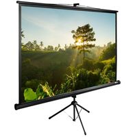 Экран для проектора Cactus 200x200см ...