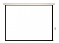 Экран для проектора рулонный Lumien E...