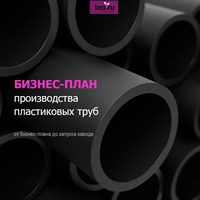 Разработка бизнес-плана и ТЭО произво...
