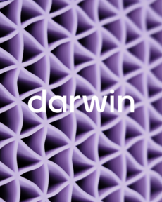 Оксана Алешина