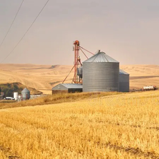 Евгений Терентьев